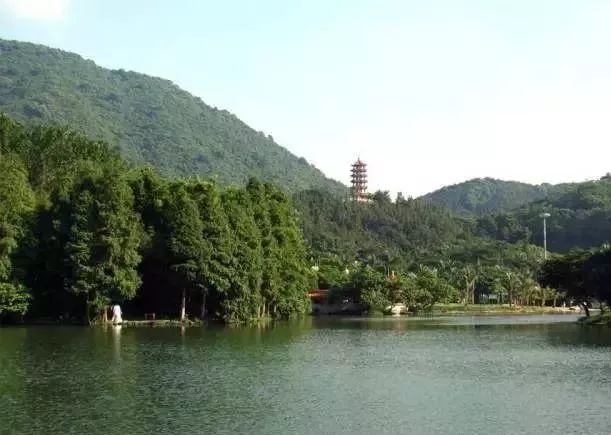 深圳免费景区一览表,深圳国际艺术博览会免费门票