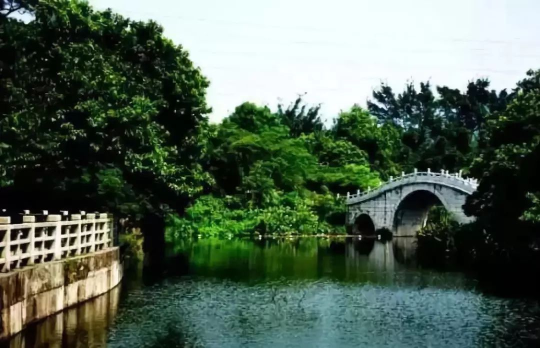 深圳免费景区一览表,深圳国际艺术博览会免费门票