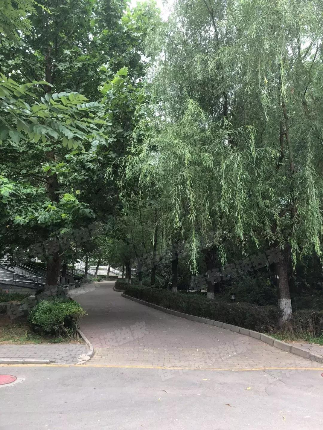 海淀万柳买房,海淀万柳领涨了吗