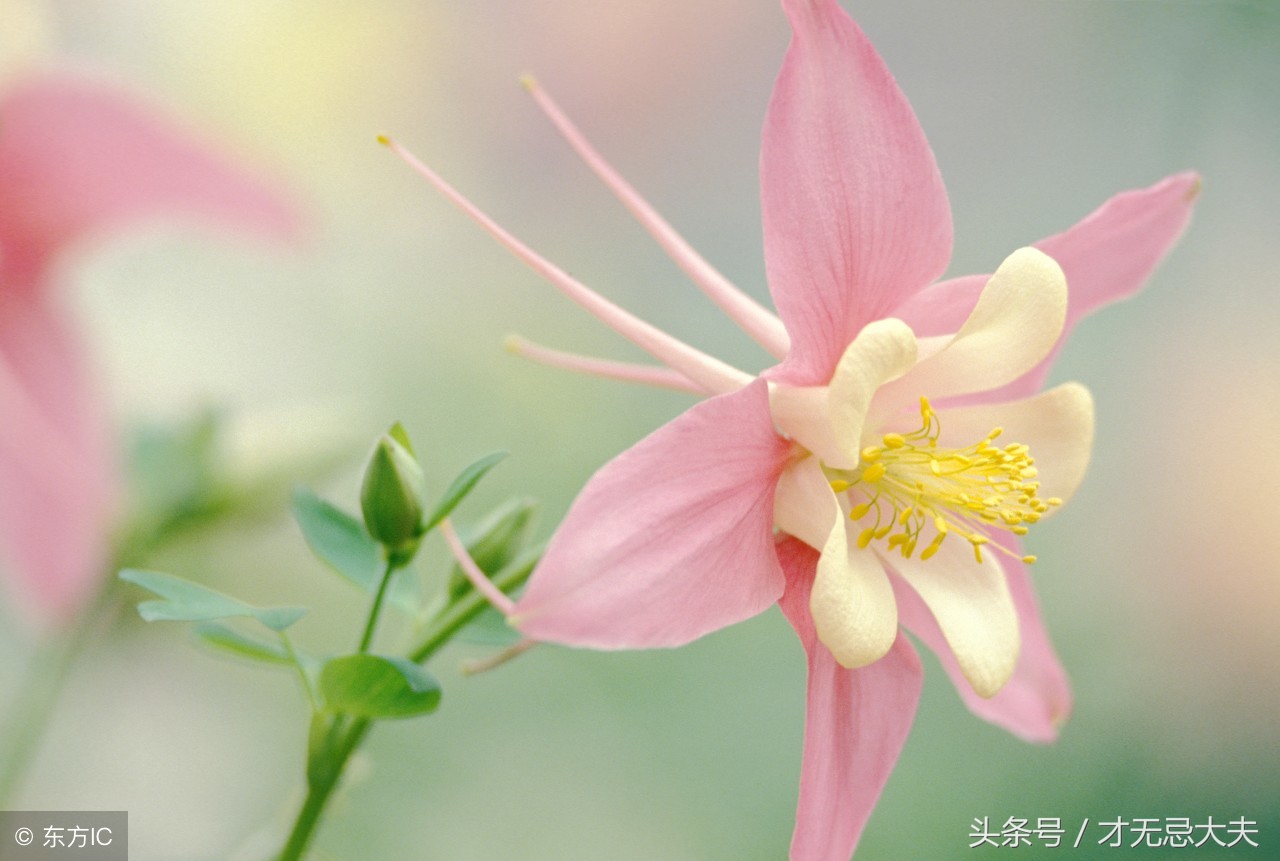 真实的故事！孩子，你太艰难了！妈疯了，爸走了！还有亲人吗？