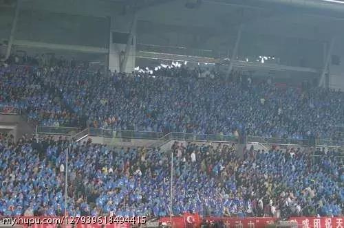 泰达现在情况怎么样了,泰达这五年