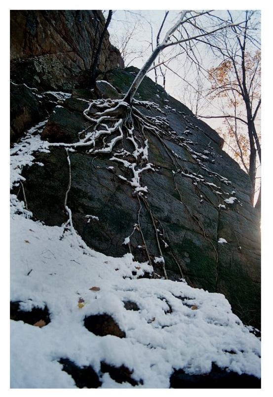 百首诗赞拉法山,百首诗作