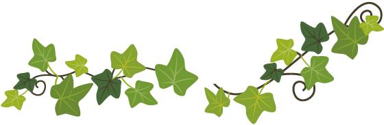 巾帼志愿服务助力社会救助的活动,妇联为爱行走公益行动