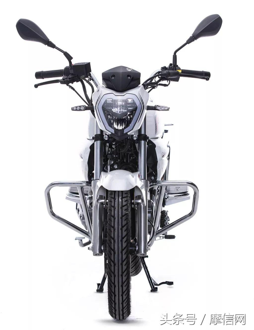 钱江龙御龙猛龙飞龙哪个好,猛龙御龙钱江龙