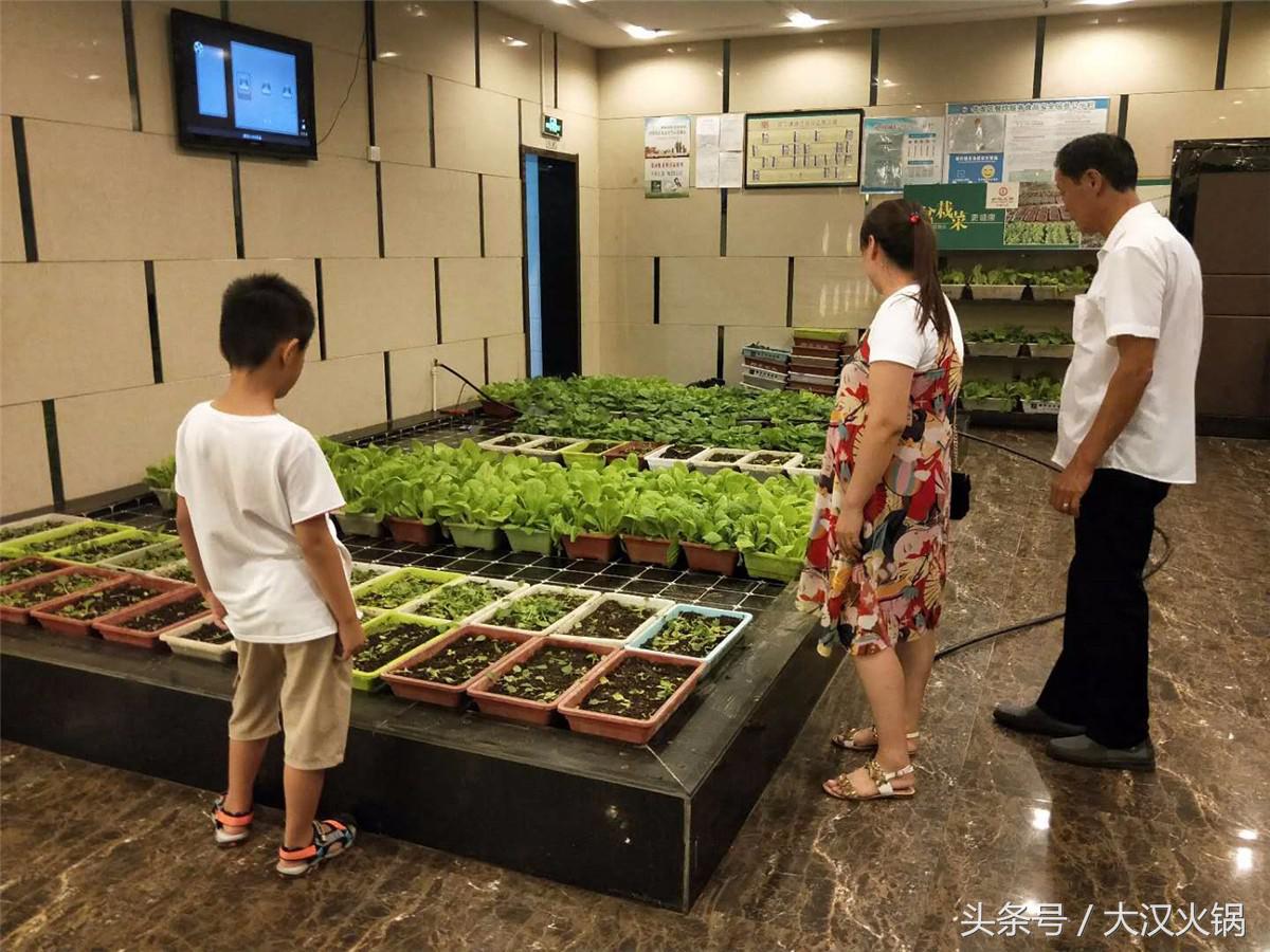 大汉火锅馆,大汉火锅生活馆