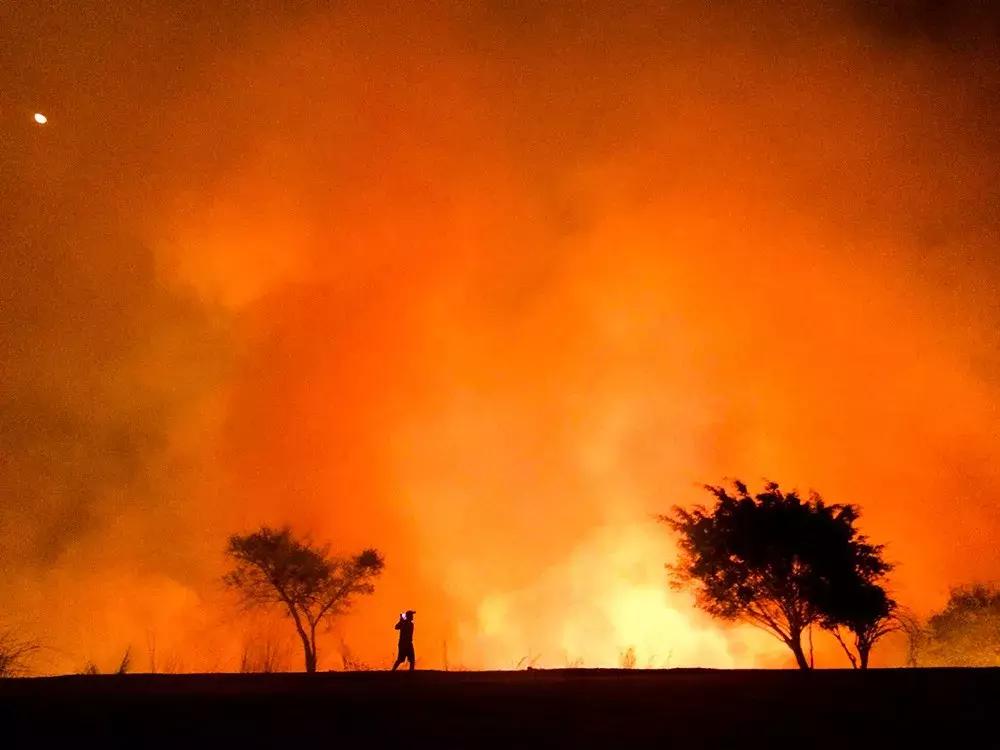 世界十大最高品质手机摄影大赛,2022年ippa摄影大赛