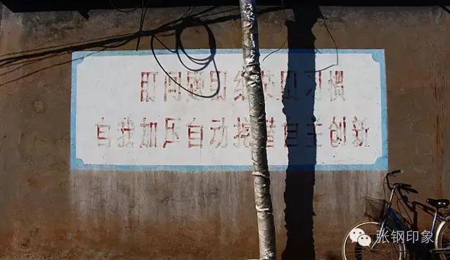 张钢千仓汇,张金钢真实照片