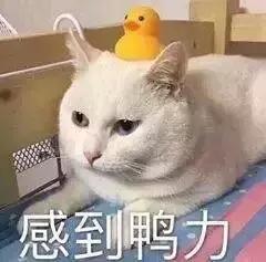 香港海关查出假药会怎么处罚商家,深圳香港海关查获了哪些假货