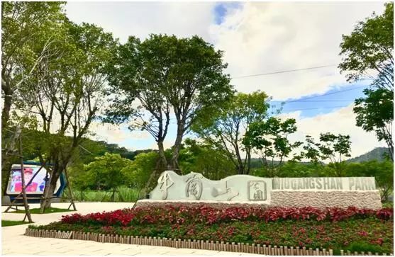 中海左岸花园人才公寓福州,福州拎包入住样板间