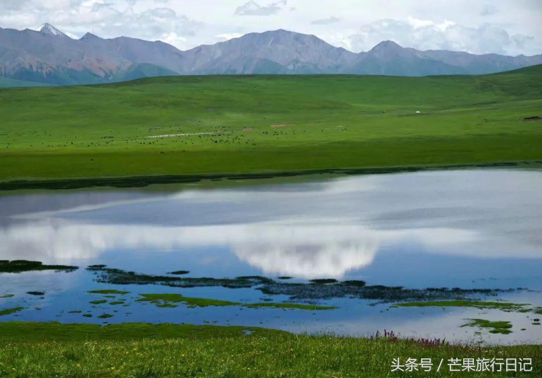 大美青海7月最美的风景,四川青海旅游十大必去景点