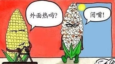 狗中暑的急救治疗方法,中暑了怎么办教你一招就有效