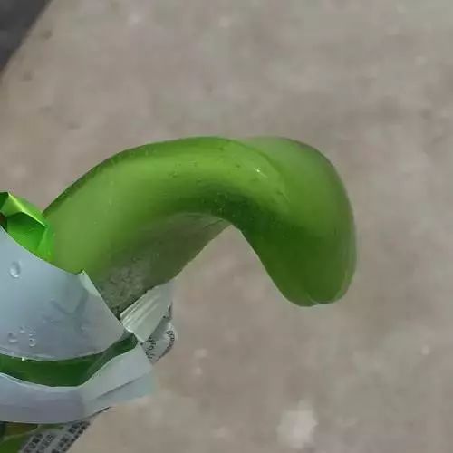 爱吃冰淇淋的熊孩子,小朋友想吃冰淇淋要怎么阻止