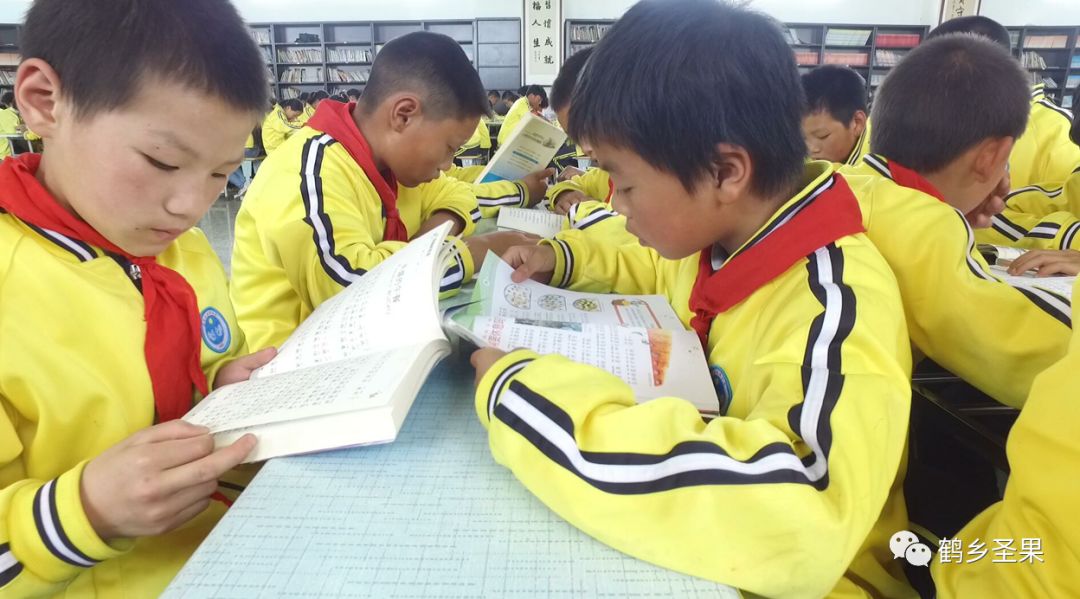 记者走访街头单车,共享单车的出镜记者