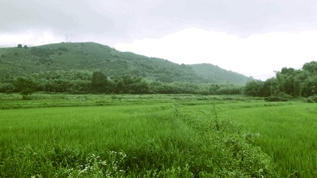 义远农场亲子探险露营：帐篷、萤火虫、足球冰淇淋、竹水枪、采摘