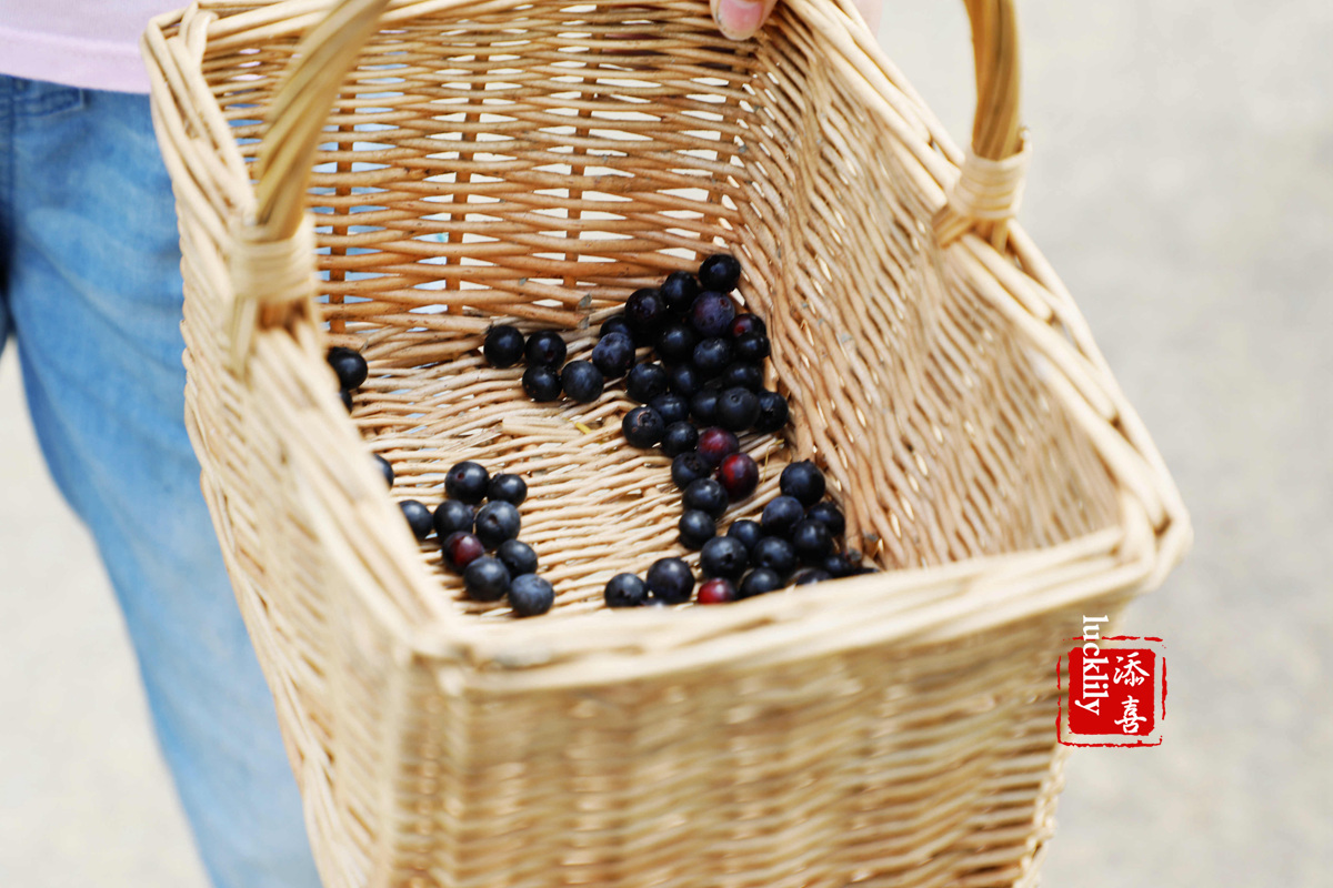 义远农场亲子探险露营：帐篷、萤火虫、足球冰淇淋、竹水枪、采摘