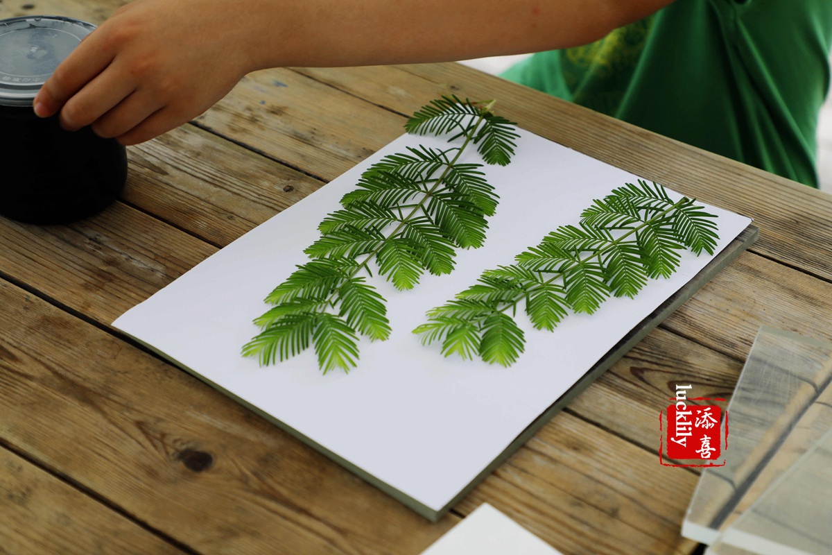 义远农场亲子探险露营：帐篷、萤火虫、足球冰淇淋、竹水枪、采摘