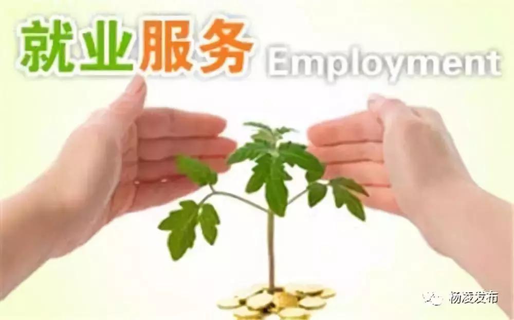 优化营商环境金牌店小二集中行动,杨凌优化提升营商环境