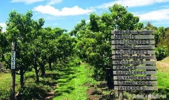 在濮阳买一套房多少钱,濮阳市一套房子多少钱全款