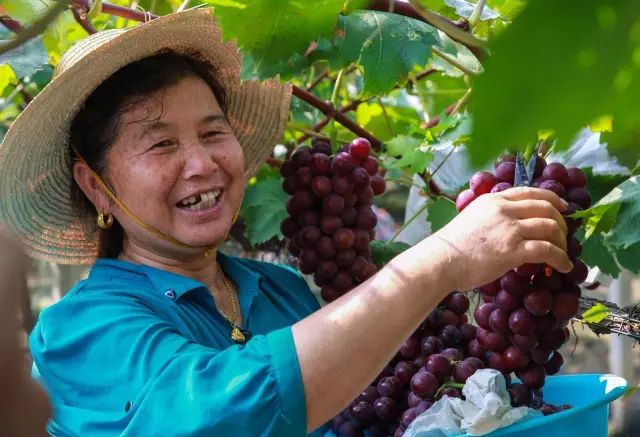 马鞍山最厉害的县,聚焦马鞍山