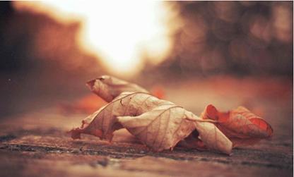 it教育行业发展分析,牵引力教育的好处