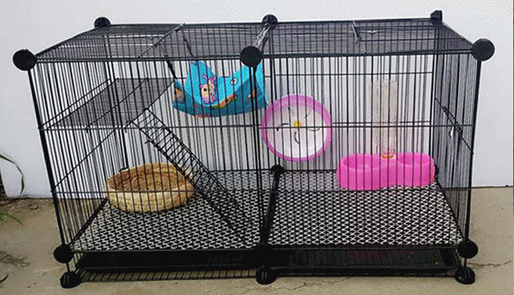 仓鼠如何饲养教程,新手养仓鼠该用什么笼子