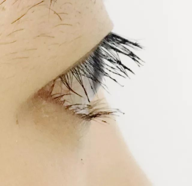 8款热门睫毛膏专业测评，Angelababy最爱的睫毛膏居然垫底了！