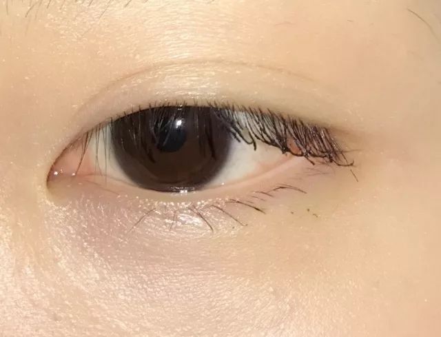 8款热门睫毛膏专业测评，Angelababy最爱的睫毛膏居然垫底了！