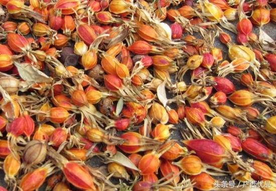 揭秘34种常见香料的名称与用途,12种常见香料怎么用一次性告诉你