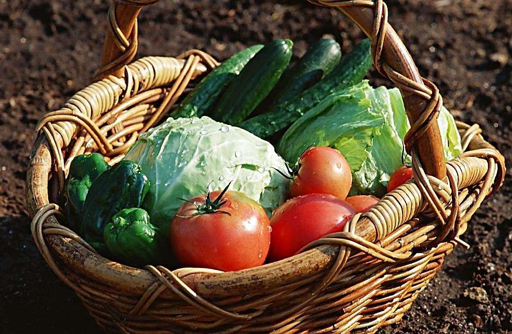 孩子体质差中医怎么治疗,中医治疗体弱多病