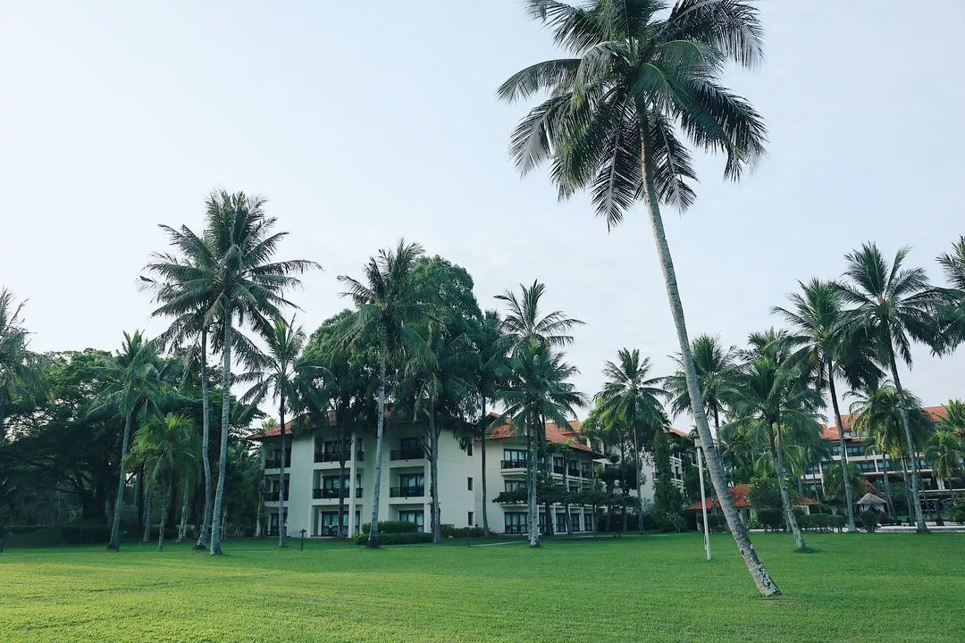 印尼美娜多潜水,印尼美娜多潜水考证