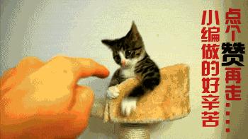 中医药实验小白鼠,中医实验小白鼠