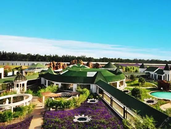 农旅项目盈利模式,农旅创业项目