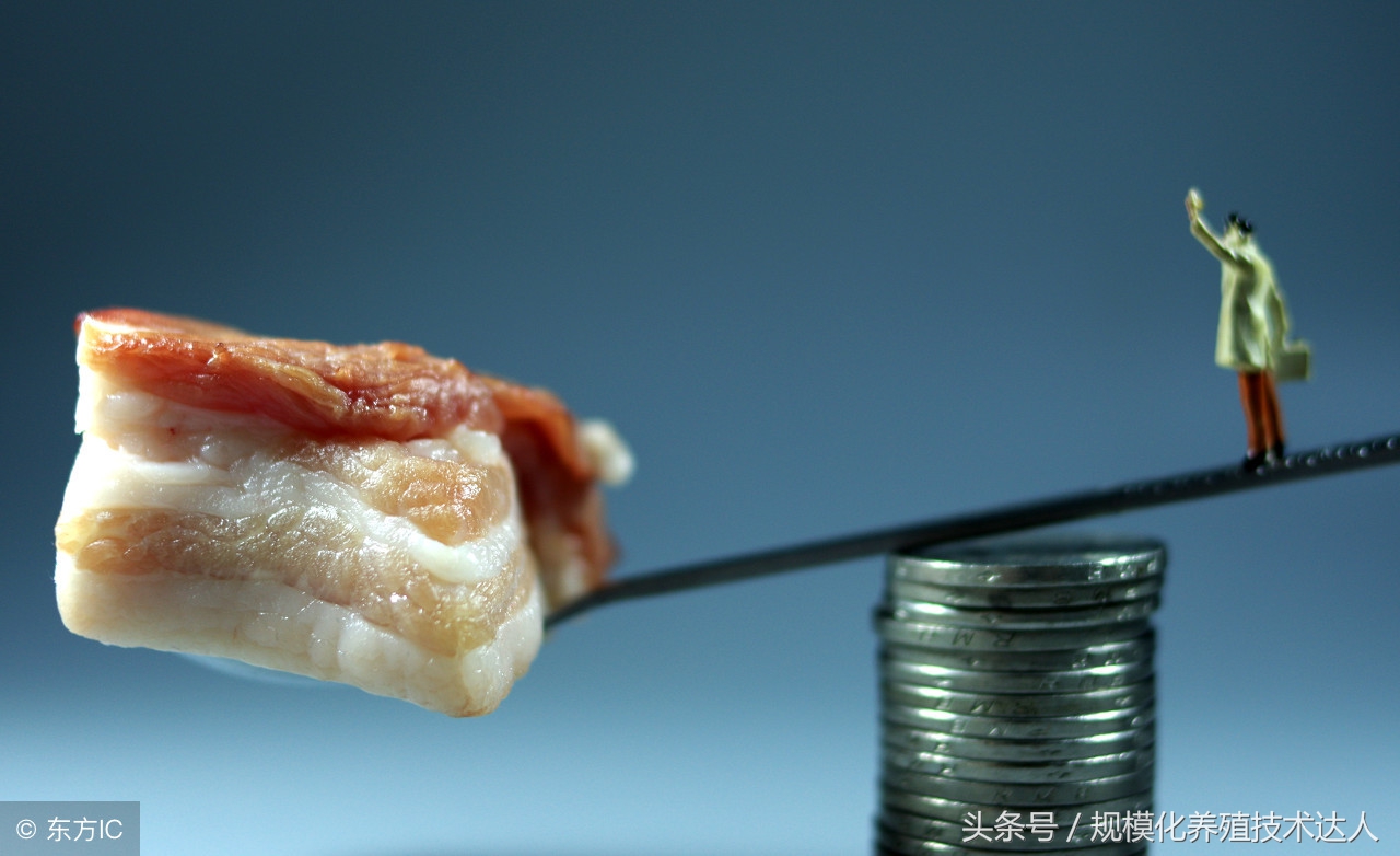 2018年4月5日全国生猪价格及走势,2019年4月25日全国生猪价格行情