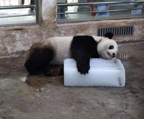 非洲兄弟都害怕的夏天，古代人是怎么过的？