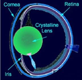 360度全景摄像咋使用,360度全景摄像头是什么原理
