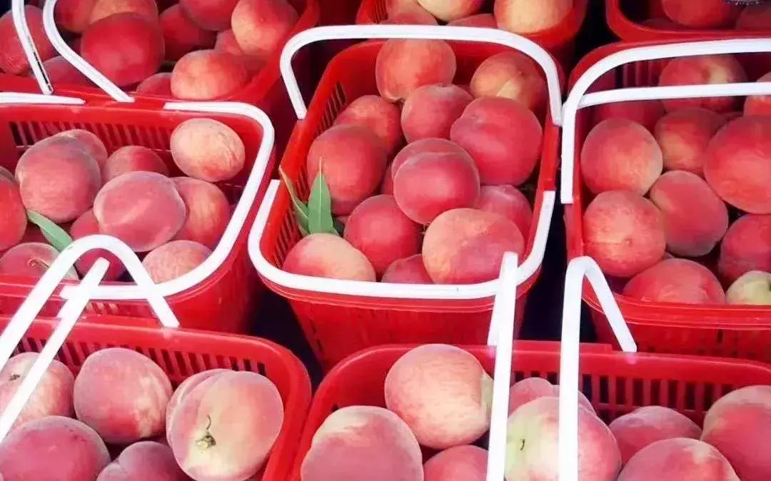 藏不住了重庆这个小城太美了,藏不住了四川话