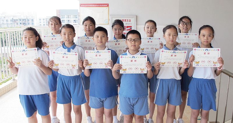 把动物看成一种乐器有哪些,如果把你比作一种动物你就是天鹅