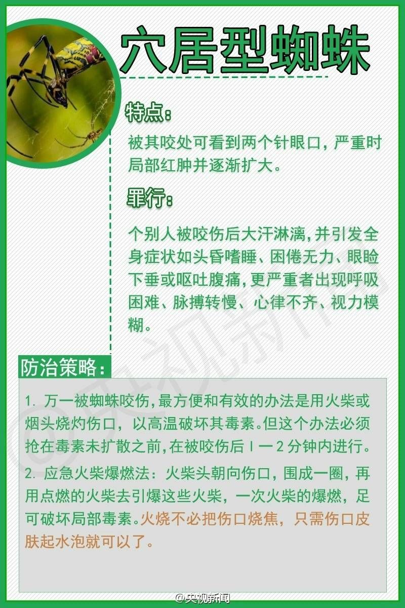 在广西被小虫子咬了怎么处理,广西女子被红蚂蚁咬后身亡