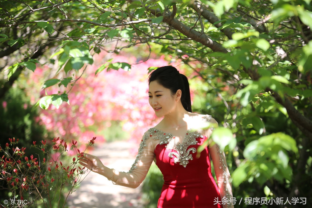 渗透测试中常用的windows命令,渗透测试工具介绍及使用技巧