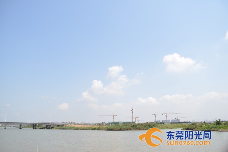 清水绕绿屿，白鹭上青天！沙田这些地方如今变得这么美！