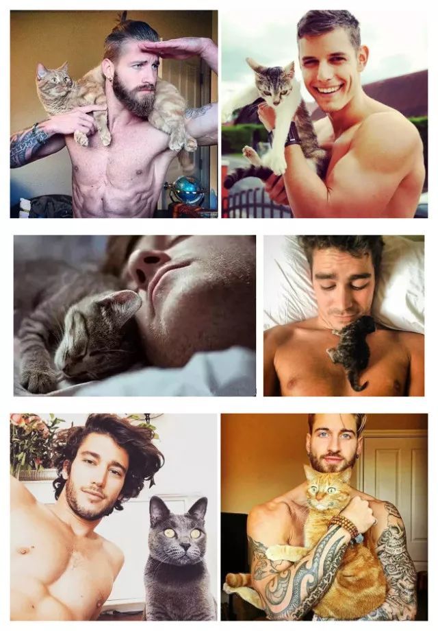 男不养猫？你这么会讲话，一定没有姑娘要你这条单身狗吧