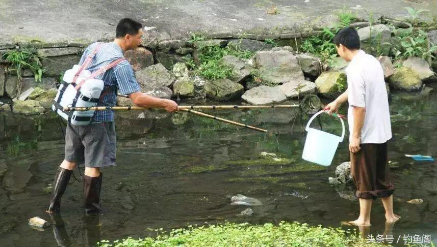 被电过的地方怎么钓鱼,被电过的野河怎么钓鱼