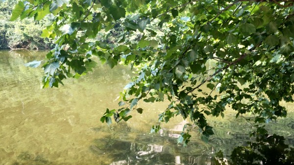 高冠瀑布风景,高冠瀑布游记