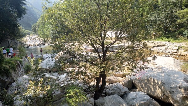 高冠瀑布风景,高冠瀑布游记