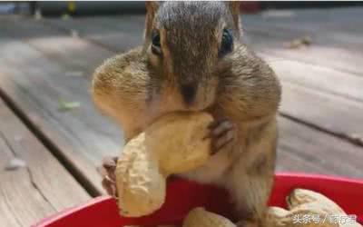 脸大怎么办最快最有效的方法,脸太大怎么办教你一招快速瘦脸