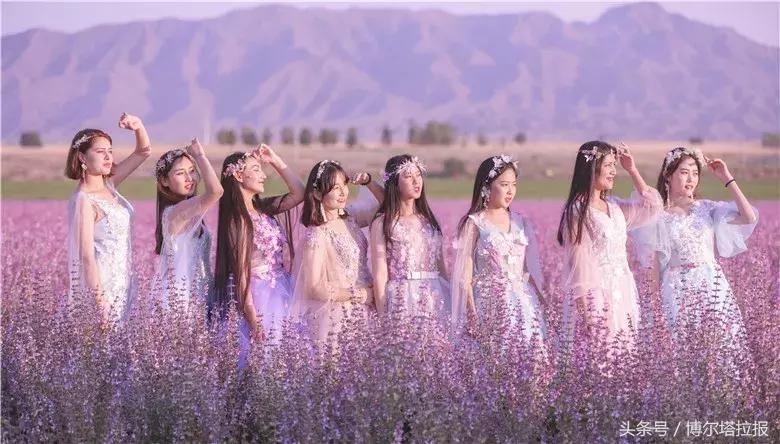 投票啦！快来支持你喜欢的紫苏仙子吧！