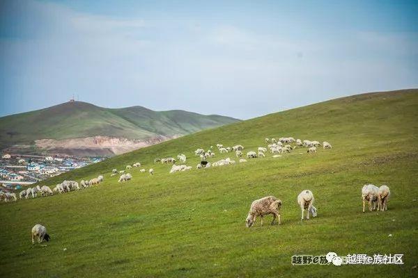 无法忘记的第一次草原之旅,一生必去一次的草原