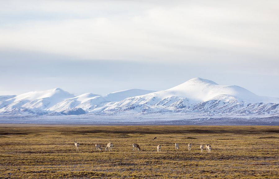 做过这30件事才叫爱旅行的人,做过十件事才算是真爱