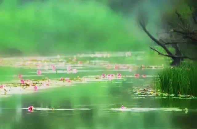 陈忠实好文分享,陈忠实推荐语