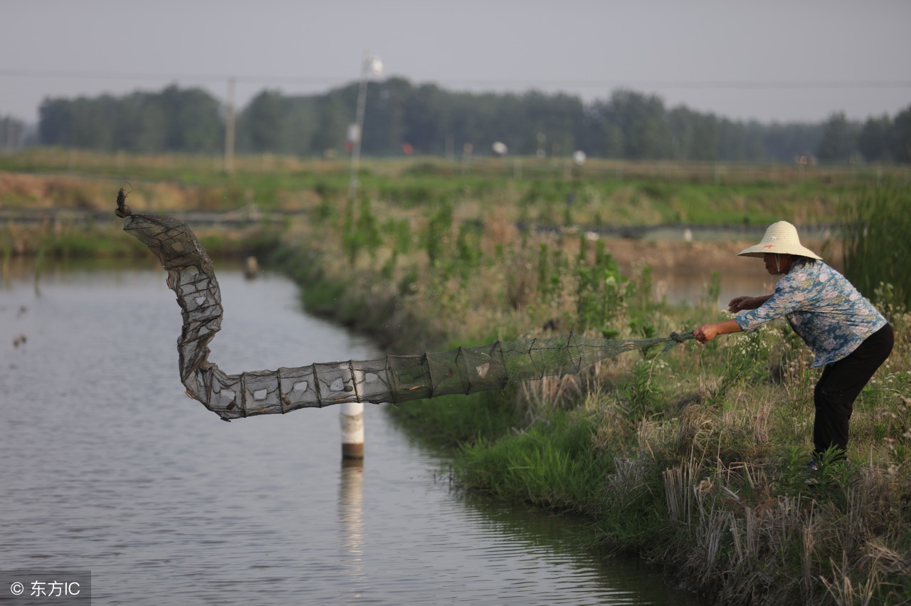 东莞小龙虾批发市场进货渠道,加盟小龙虾生意如何做呢